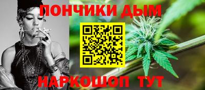индика Кандалакша