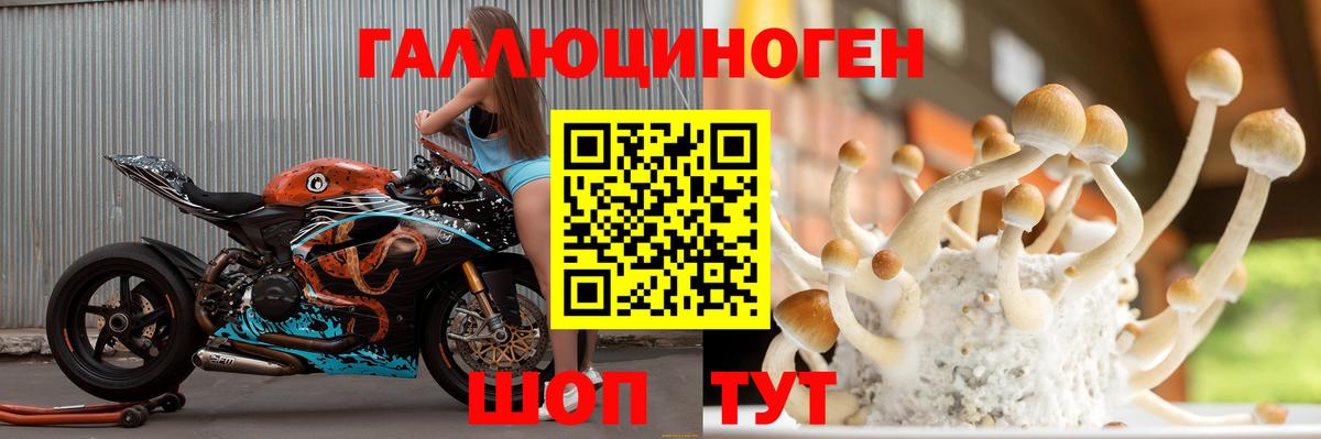 Нарьян-Мар  Галлюциногенные грибы Cubensis  Псилоцибиновые грибы Psilocybe  Вход с VPN 